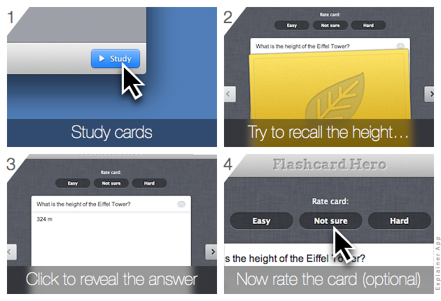 can you download fluenz flash cards